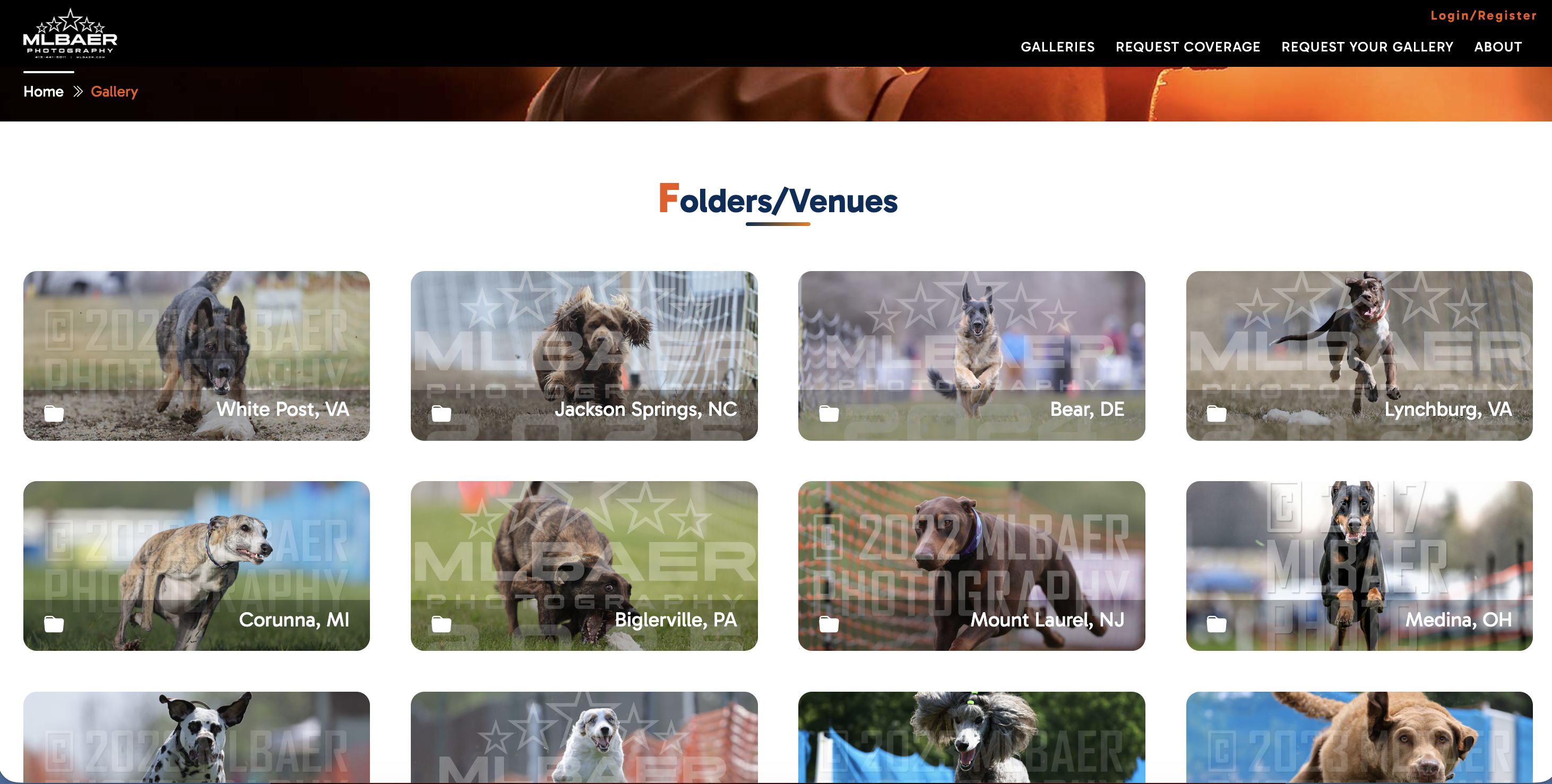 Portfolio Gallery